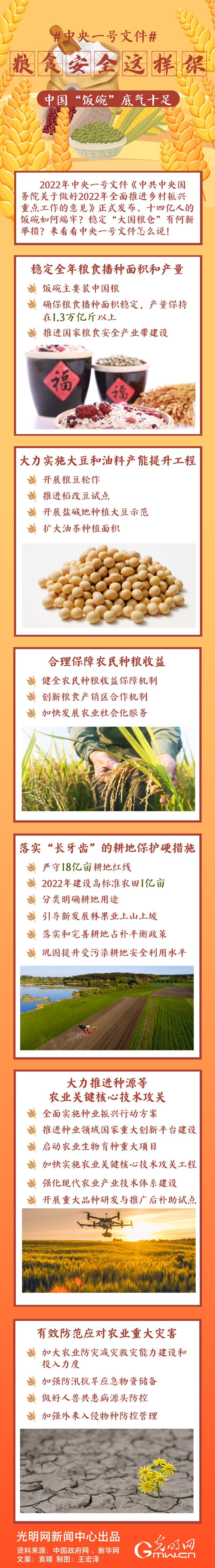 中央一號文件｜糧食安全這樣保，中國“飯碗”底氣十足