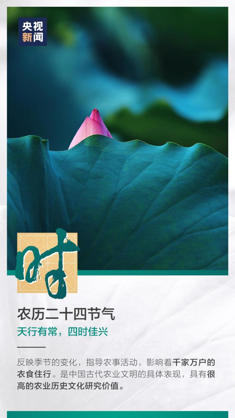 這也太浪漫了吧！