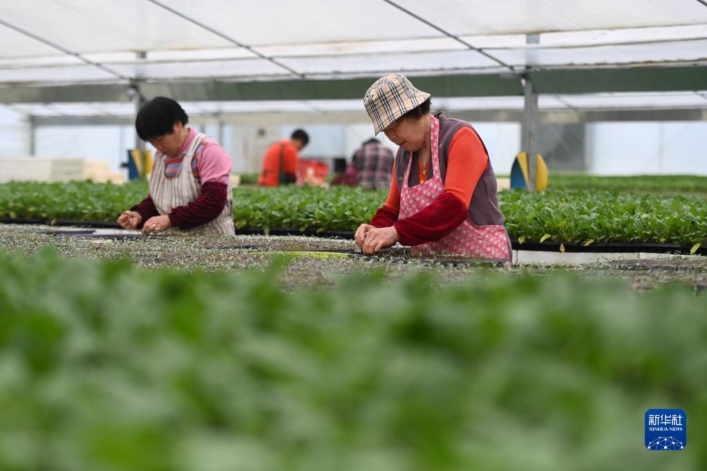 浙江:春耕備耕正當(dāng)時(shí)