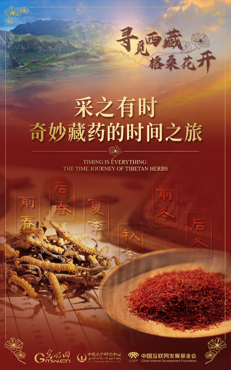 【尋覓西藏·格?；ㄩ_(kāi)】采之有時(shí)：奇妙藏藥的時(shí)間之旅