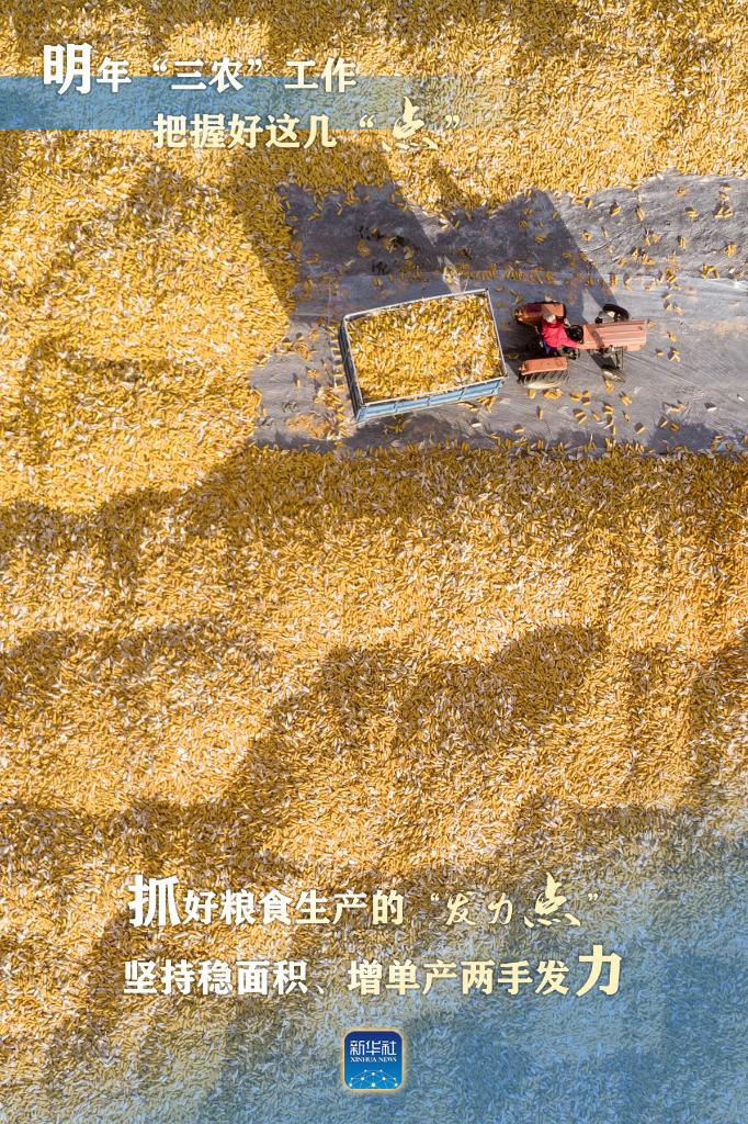 明年“三農(nóng)”工作，這幾個“點”要把握好