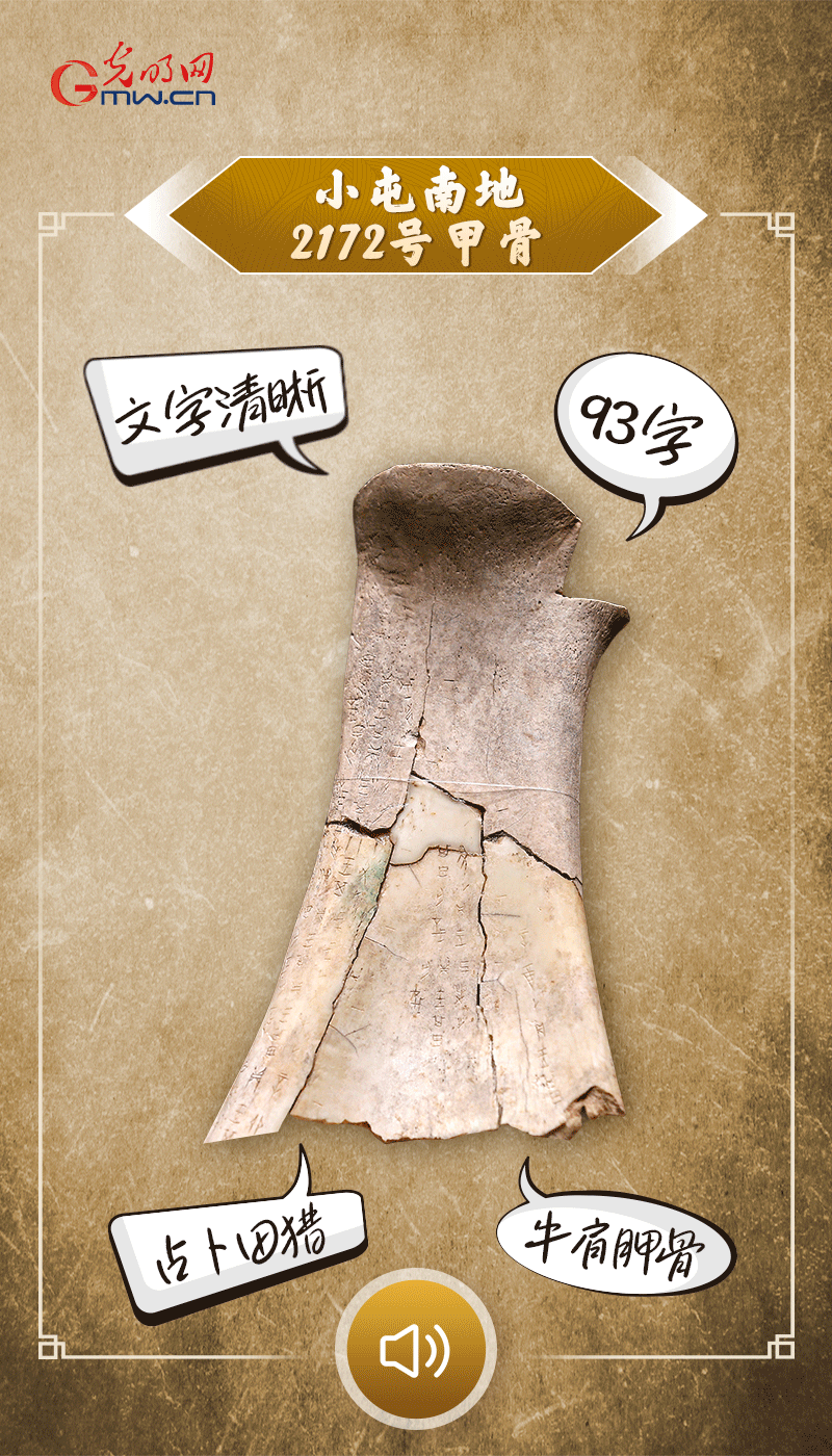 文物會說話 | 殷墟博物館新館開館啦，帶你奔赴“千年之約”