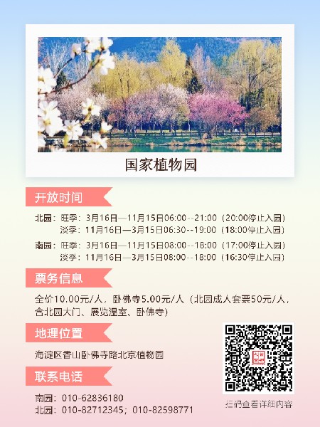 追花指南第三期！別等了 今天就去和桃花撞個(gè)滿懷