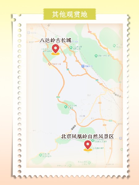 追花指南第六期！杏花雨 楊柳風(fēng) 北京最美的杏花在這里