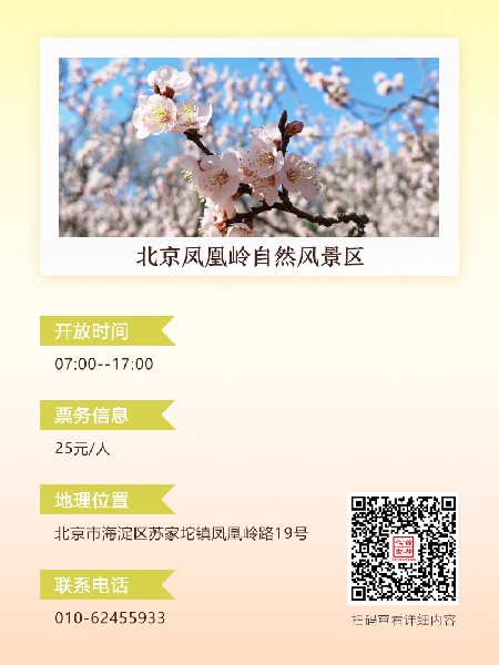 追花指南第六期！杏花雨 楊柳風(fēng) 北京最美的杏花在這里