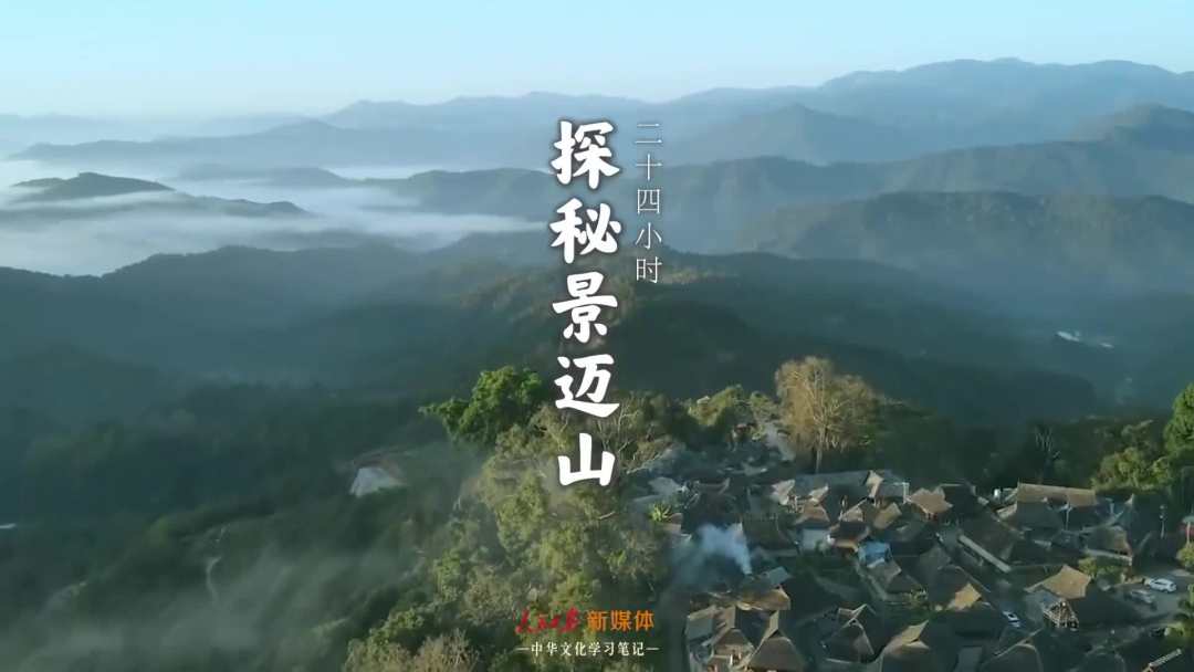景邁山是個什么山？航拍云南普洱森林里的世界遺產(chǎn)