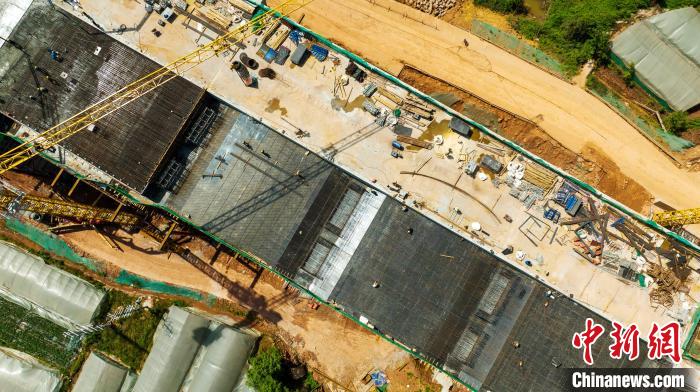 俯瞰正在建設的天府站多線橋鋼筋鋪架現場?！⒅铱?攝