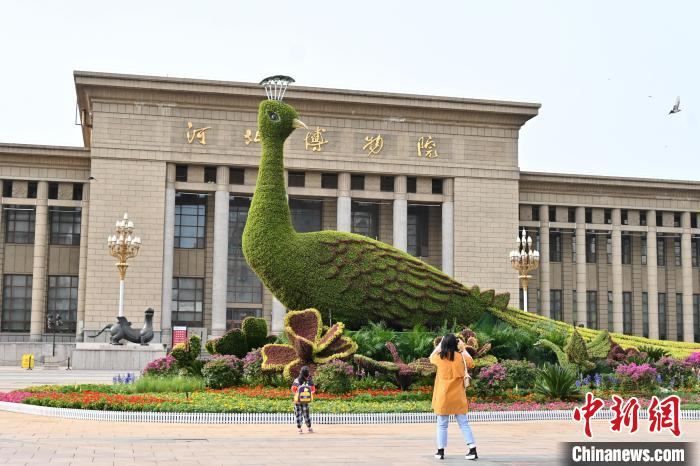 圖為游客在花壇前拍照打卡?！〉杂鸺?攝