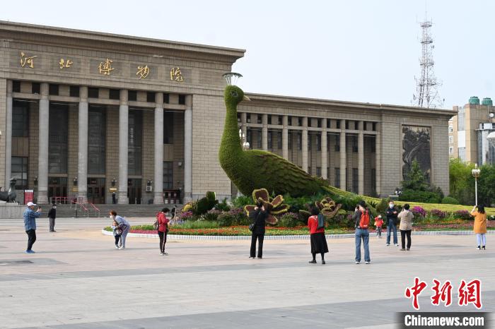 圖為游客在花壇前拍照打卡?！〉杂鸺?攝