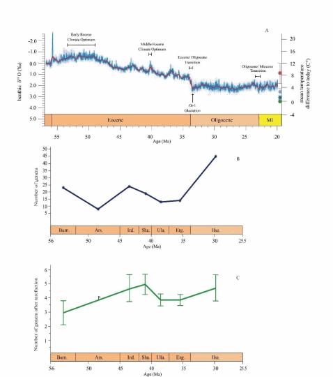 早始新世至早漸新世東亞嚙齒類屬級多樣性變化?！≈锌圃汗偶棺邓?供圖