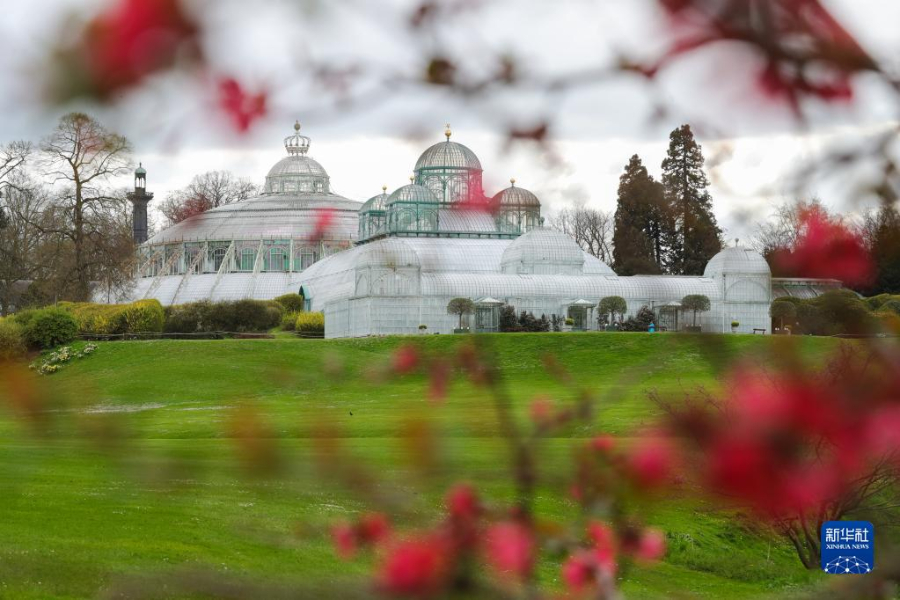 這是4月14日在比利時布魯塞爾拍攝的拉肯宮王家溫室花園。新華社記者 鄭煥松 攝