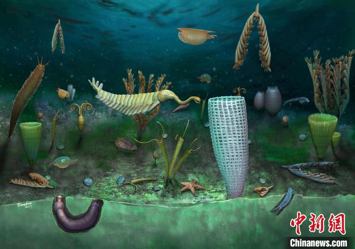 Castle Bank動(dòng)物群藝術(shù)復(fù)原圖(Yang Dinghua繪制)?！∈┢樟指瘛ぷ匀?供圖