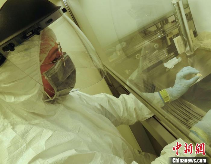 Elena Essel在凈室中處理鹿牙墜飾(圖片來(lái)自馬克斯·普朗克演化人類學(xué)研究所)?！∈┢樟指瘛ぷ匀?供圖