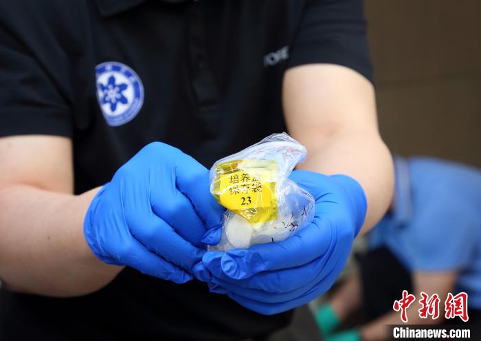 隨神舟十五號返回地面的空間科學實驗樣品?！≈锌圃嚎臻g應用中心 供圖