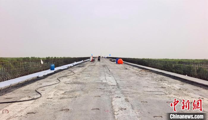 工作人員正在橋面上緊張有序地施工?！∈酚窠?攝