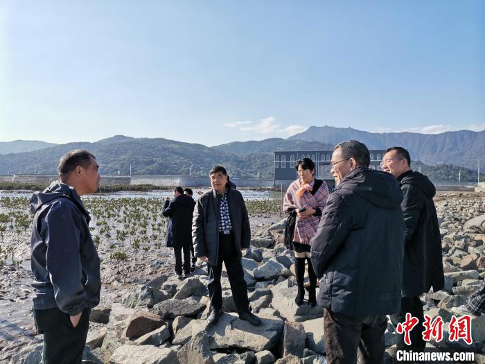 浙江海洋生態(tài)觀察：智慧大腦如何解鎖藍(lán)色發(fā)展密碼？