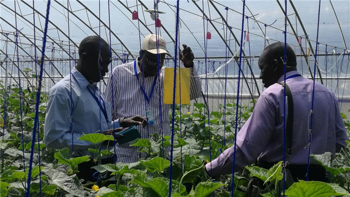 孫釗向當?shù)剞r(nóng)戶講解粘蟲板工作原理。受訪者供圖