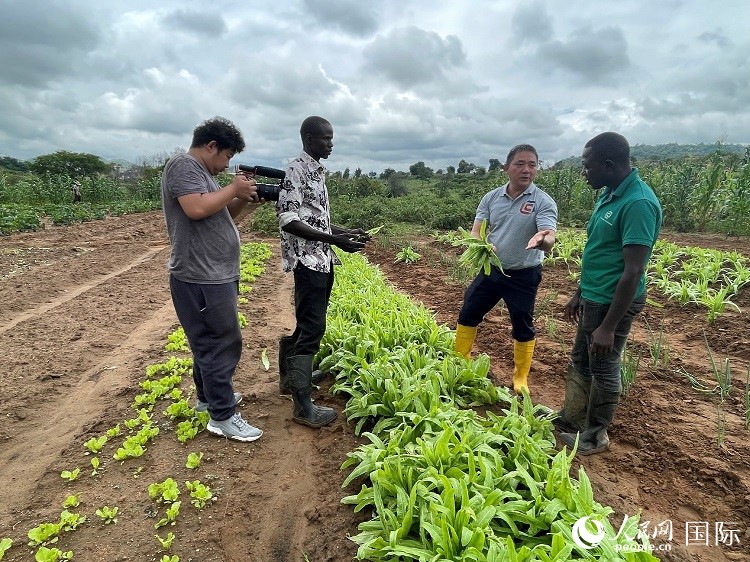 人民網(wǎng)記者走進(jìn)尼日利亞農(nóng)業(yè)技術(shù)示范中心。人民網(wǎng)記者 趙艷紅攝