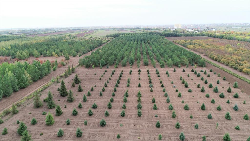 這是2023年9月11日在哈薩克斯坦首都阿斯塔納拍攝的一處植物種質(zhì)資源苗圃（無人機照片）。新華社發(fā)（法爾哈特·圖克諾夫 攝）