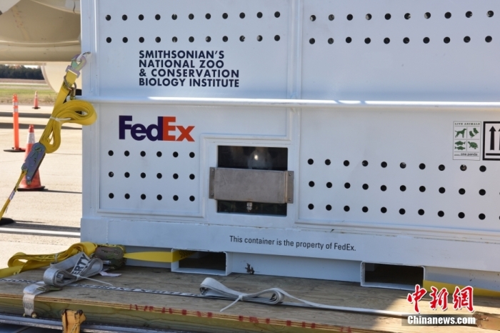 當(dāng)?shù)貢r(shí)間11月8日，美國(guó)華盛頓史密森學(xué)會(huì)國(guó)家動(dòng)物園的大熊貓“美香”“添添”和它們的幼崽“小奇跡”乘坐的專機(jī)從華盛頓杜勒斯國(guó)際機(jī)場(chǎng)起飛前往中國(guó)成都。圖為裝有大熊貓的特制“旅行箱”。<a target='_blank' href='/'><p  align=