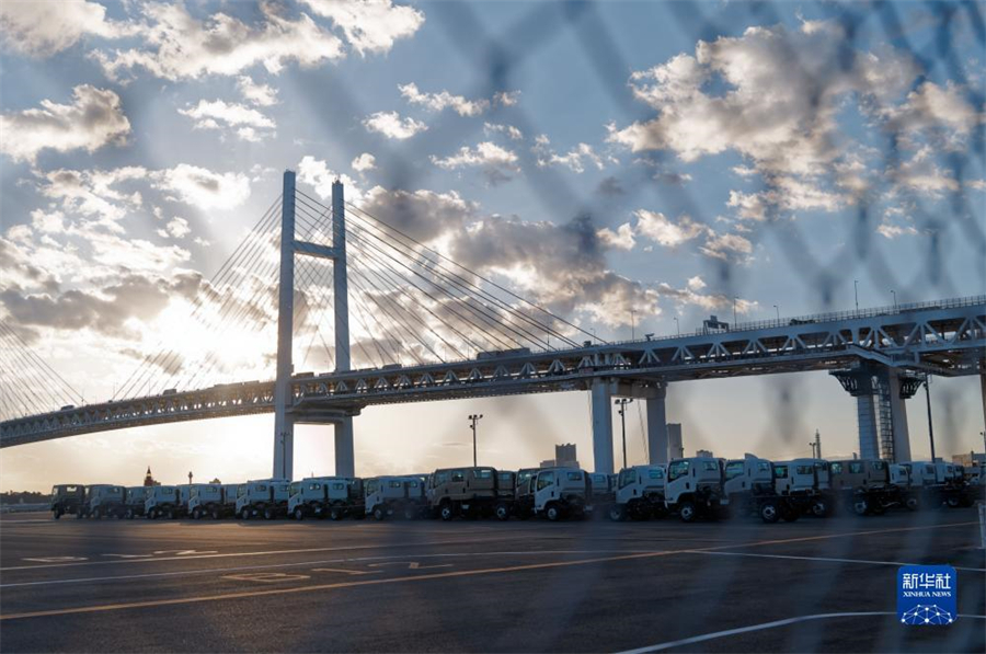 這是11月14日在日本橫濱拍攝的進出口汽車集散場地。新華社記者 張笑宇 攝
