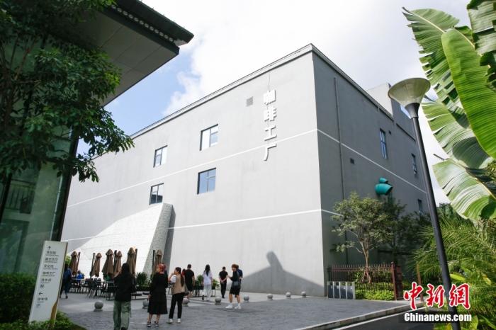 圖為采訪團(tuán)一行參觀咖啡工廠。 曹淼欣 攝