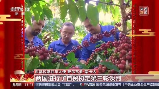 飽含美好祝愿與期待 洪都拉斯駐華大使:期待自己在中國度過的第一個(gè)春節(jié)