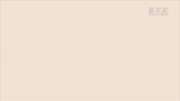 數(shù)讀兩會|聚焦“國家賬本”帶你了解財政資金怎么花