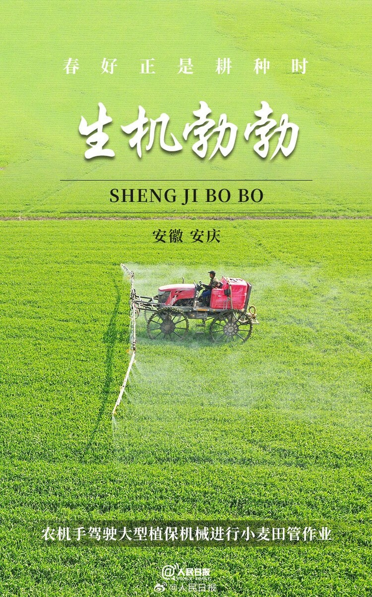 生機(jī)盎然！用課本封面打開春耕畫卷