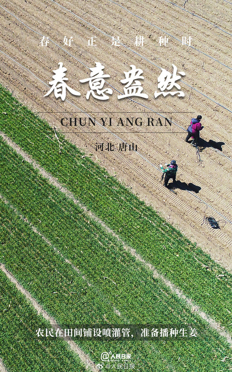 生機(jī)盎然！用課本封面打開春耕畫卷