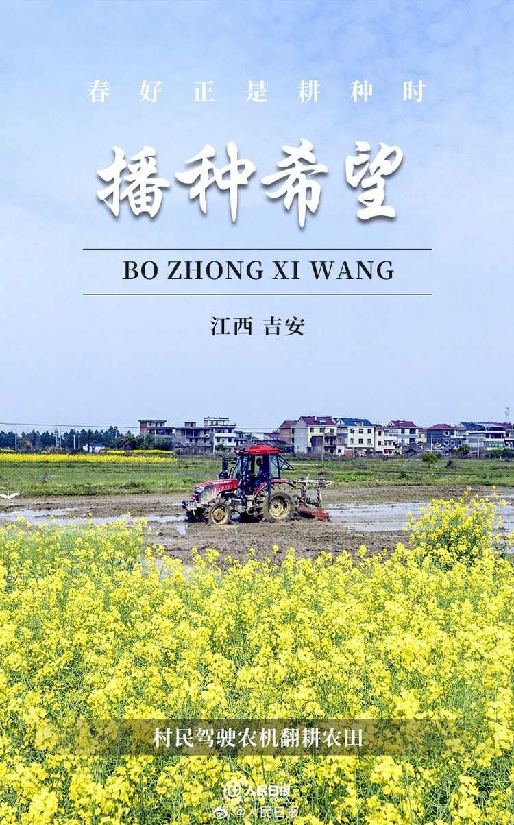 生機(jī)盎然！用課本封面打開春耕畫卷