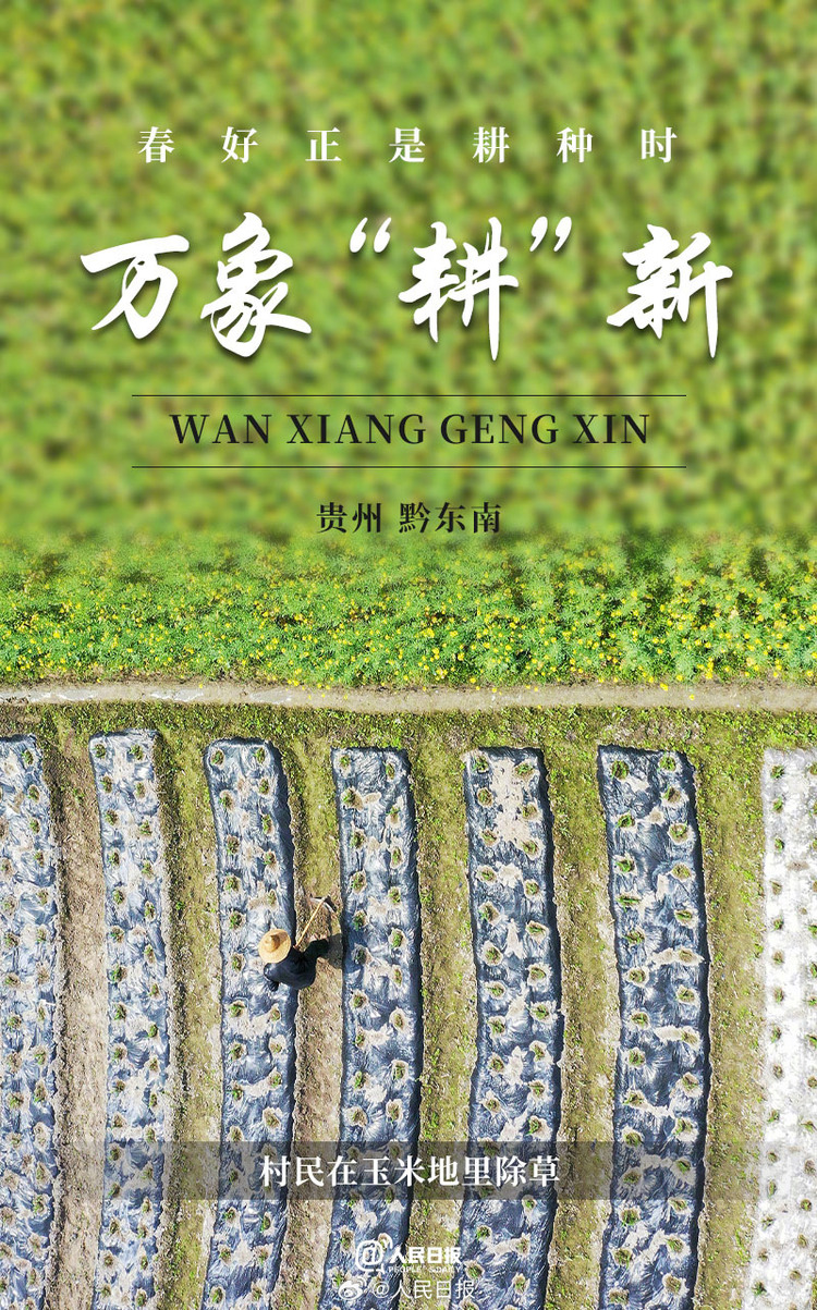 生機(jī)盎然！用課本封面打開春耕畫卷