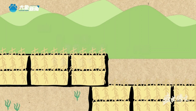 盛世修文|殷墟上新點(diǎn)亮“一字千年”奇妙夜