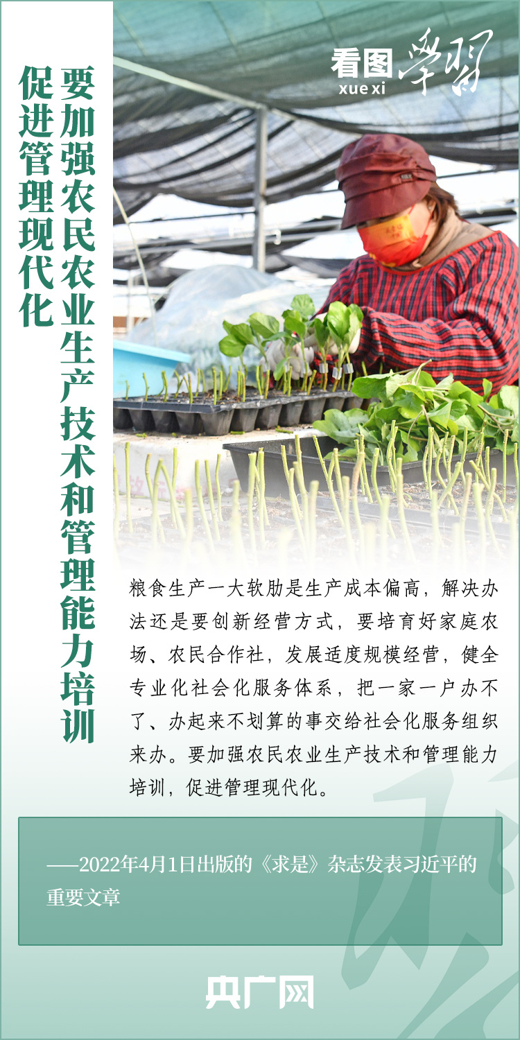 看圖學(xué)習(xí)丨推廣良田、良種、良法、良機(jī) 給農(nóng)業(yè)現(xiàn)代化插上科技的翅膀