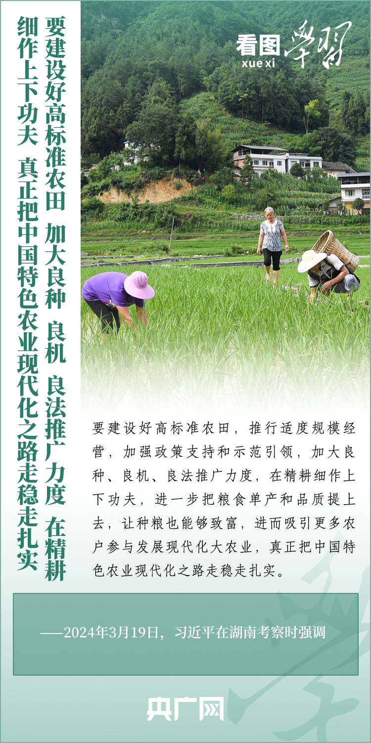 看圖學(xué)習(xí)丨推廣良田、良種、良法、良機(jī) 給農(nóng)業(yè)現(xiàn)代化插上科技的翅膀