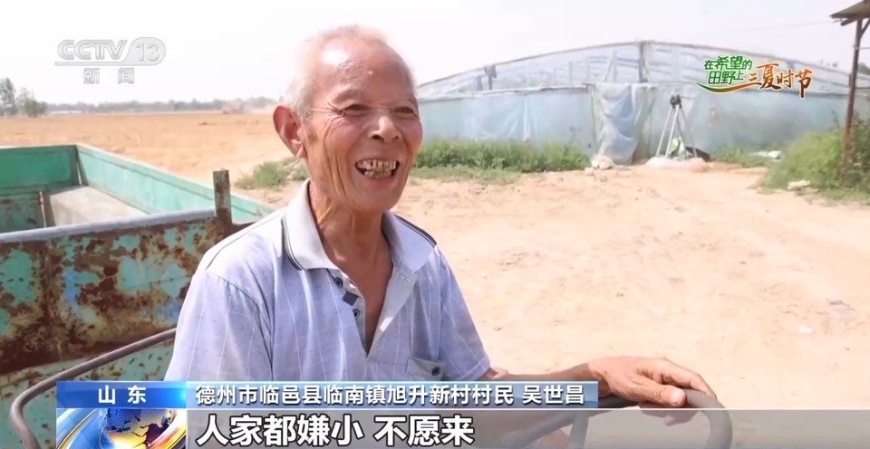 “三夏”生產(chǎn)思維導(dǎo)圖安排上了！還有政府大院等你來“曬”