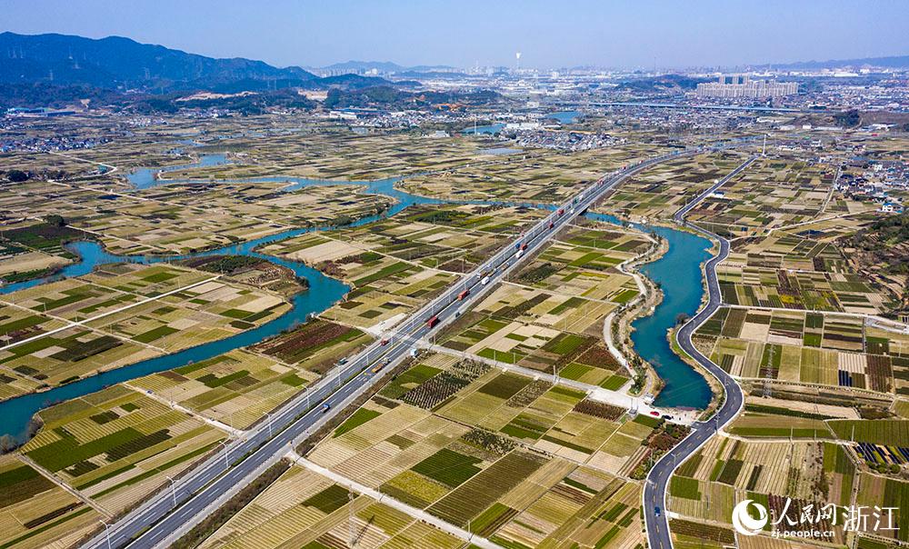 寧波市北侖區(qū)柴橋街道的萬畝花田猶如打翻的調色盤。人民網 章勇濤攝