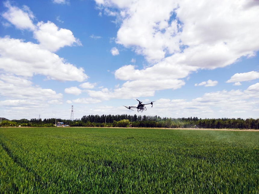 河北省遷安市扣莊鎮(zhèn)海沃之豐合作社利用植保無人機進行“一噴三防”作業(yè)。 張友青攝