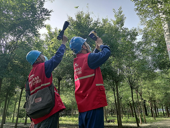 工作人員進行紅外測溫及超聲波局部放電檢測。 王亮攝