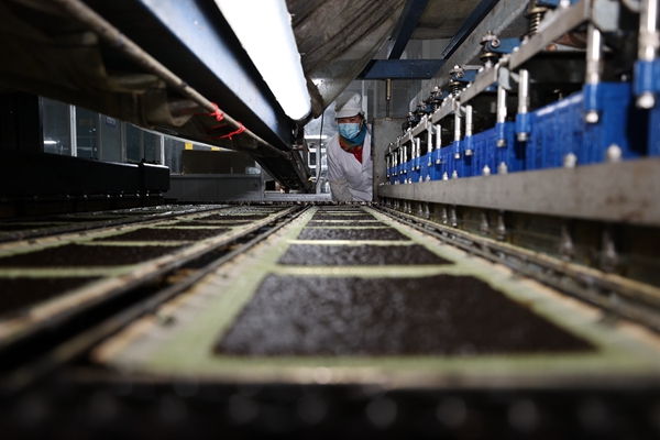 柘汪紫菜產(chǎn)業(yè)園內(nèi)入駐企業(yè)的紫菜生產(chǎn)線。贛榆區(qū)委宣傳部供圖