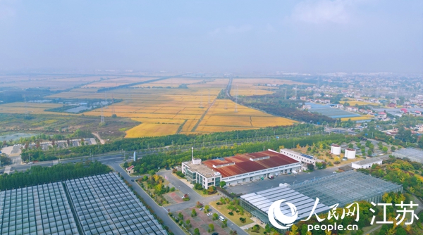 位于幸福街道的“萬頃良田”。人民網(wǎng)記者 王繼亮攝