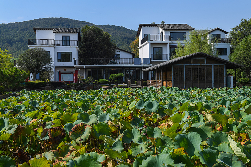 雨悅山房負(fù)責(zé)人原來(lái)在馬達(dá)加斯加打理酒店，之所以“從馬達(dá)加斯加到肥東”，源于對(duì)家鄉(xiāng)民宿前景看好。吳芳攝