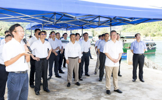 2019年6月21日上午，省長沈曉明率省政府班子成員在三亞鐵爐港調(diào)研項目規(guī)劃建設(shè)情況。海南日報記者 宋國強 攝