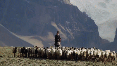 你看了嗎？藏語版《日光之城》“含金量”還在上升！