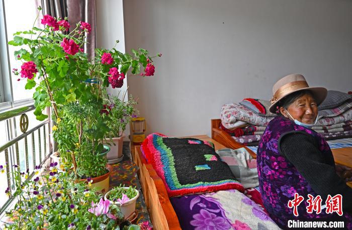 圖為曲松縣特困人員集中供養(yǎng)中心老人德吉卓嘎與她的花?！≮w朗 攝