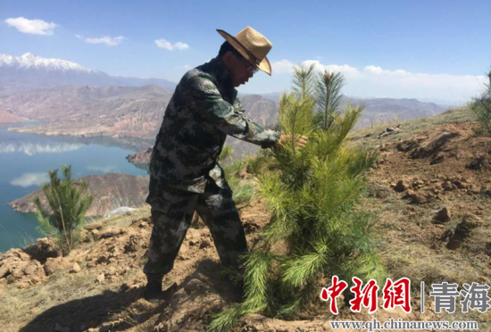 圖為尖扎干部職工生態(tài)建設和環(huán)境保護現場。尖宣 供圖