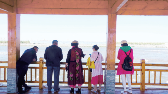 湟魚洄游奇觀吸引游人。