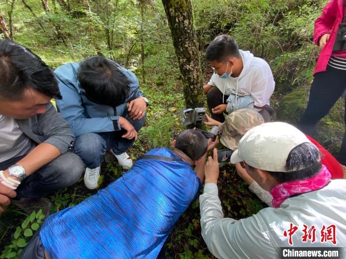 圖為訪客正在查看紅外相機(jī)中的拍攝畫(huà)面?！±罱瓕?攝