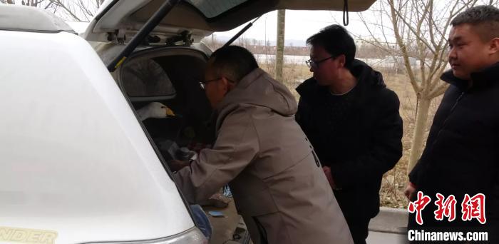 圖為民警救助國家二級保護動物——大天鵝。青海省公安廳森林警察總隊供圖