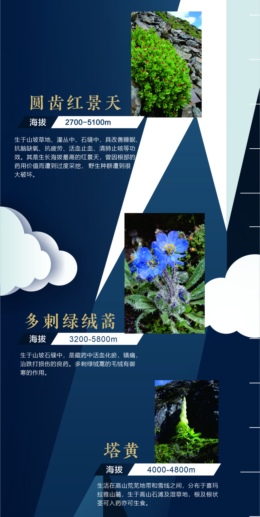 地球第三極:8000米落差造就的生物多樣性之美